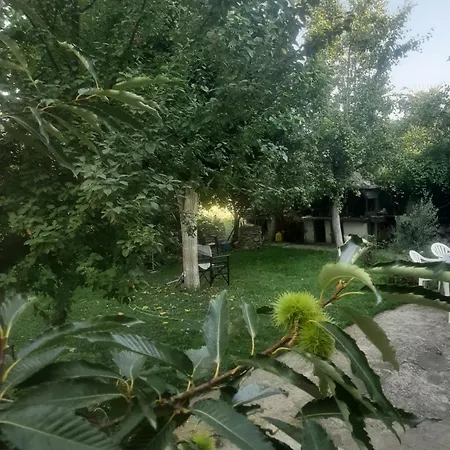 ιανός β *
